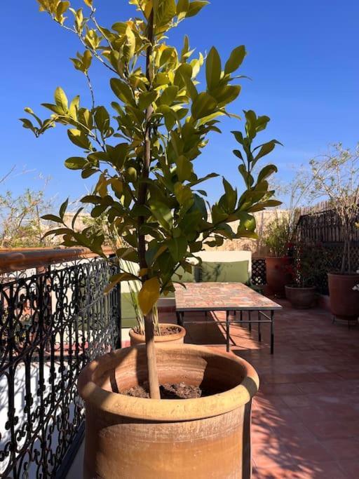 Riad Dar Fannan En Exclusivite Marraquexe Exterior foto